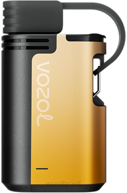 VOZOL Vape Near Me | PV2X326 VOZOL GEAR engrenagens 4000/6000 kiwi maracujá goiaba 4000c/6000