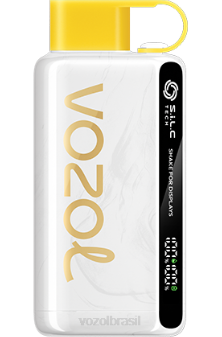 VOZOL Vape Flavors | PV2X25 VOZOL STAR estrela 9000/12000 kiwi maracujá goiaba 9000/12000