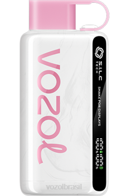 VOZOL Vape Flavors | PV2X45 VOZOL STAR estrela 9000/12000 gelo de pêssego 9000/12000