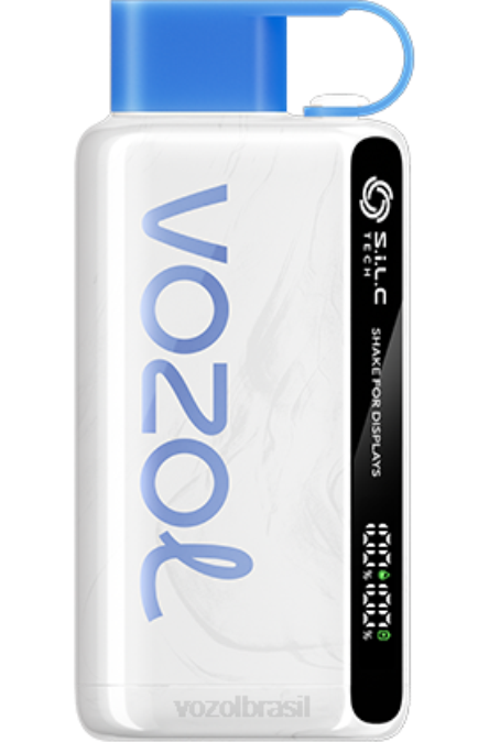 VOZOL Vape Store | PV2X50 VOZOL STAR estrela 9000/12000 vzbull 9000/12000