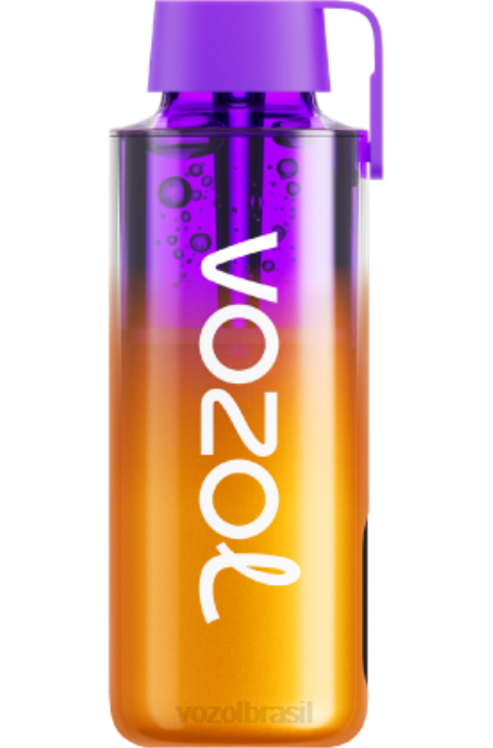 VOZOL Vape Flavors | PV2X235 VOZOL NEON néon10000 bagas misturadas 10.000