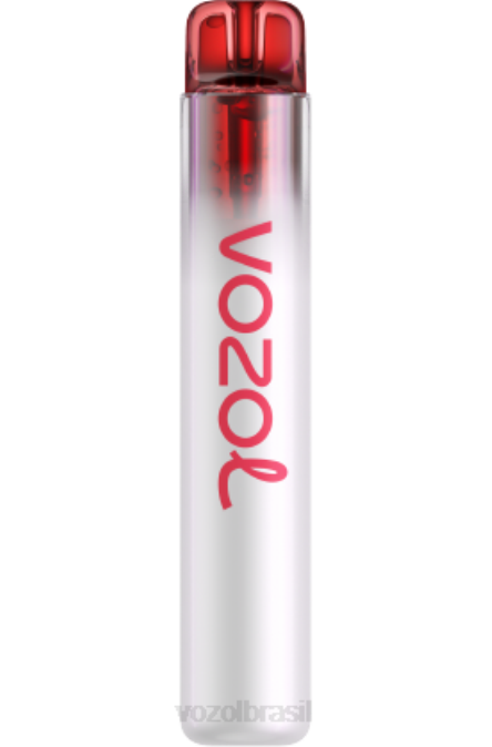 VOZOL Brasil | PV2X261 VOZOL NEON néon800 maçã pêssego 800