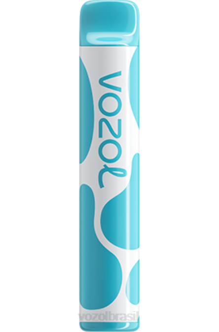 VOZOL Vape Review | PV2X377 VOZOL JOYGO alegria 600 framboesa azeda de mirtilo 600