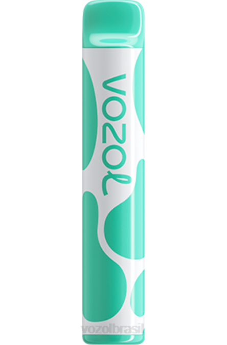 VOZOL Vape Review | PV2X387 VOZOL JOYGO alegria 600 mentol 600