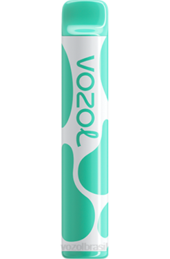 VOZOL Vape Review | PV2X387 VOZOL JOYGO alegria 600 mentol 600