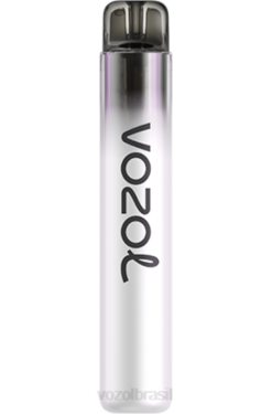 VOZOL Vape Store | PV2X250 VOZOL NEON néon800 mentol 800